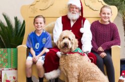 get a cute photo with Santa