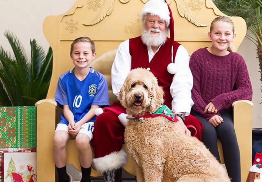 get a cute photo with Santa