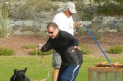 Rattlesnake avoidance training for dogs