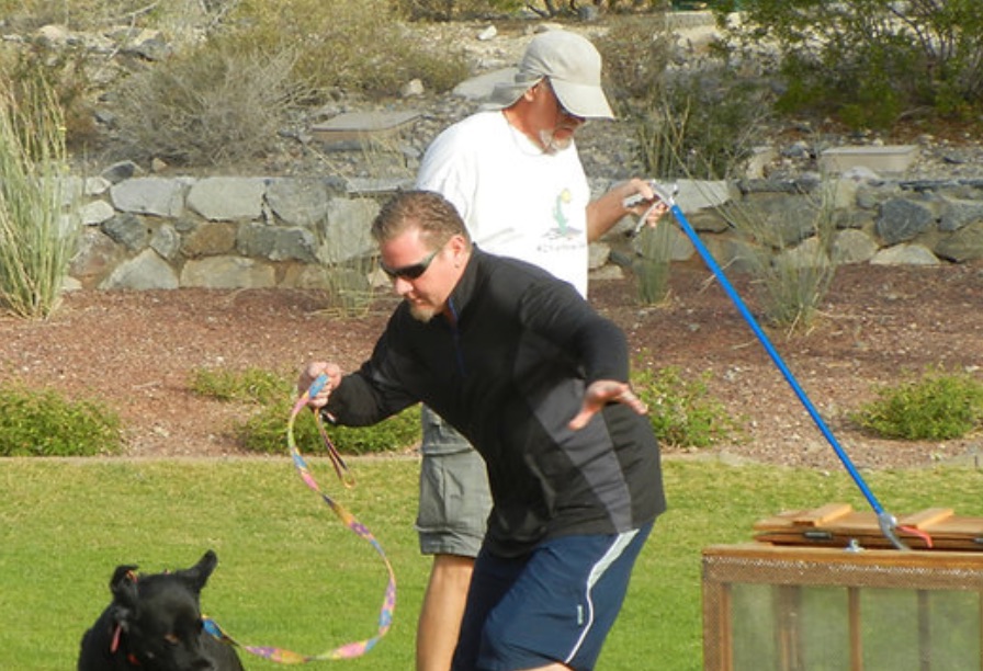 Rattlesnake avoidance training for dogs