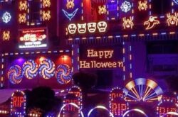 Halloween Lights On Evergreen