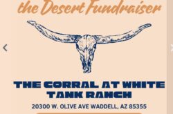 Diamond_in_the_Desert_Fundraiser
