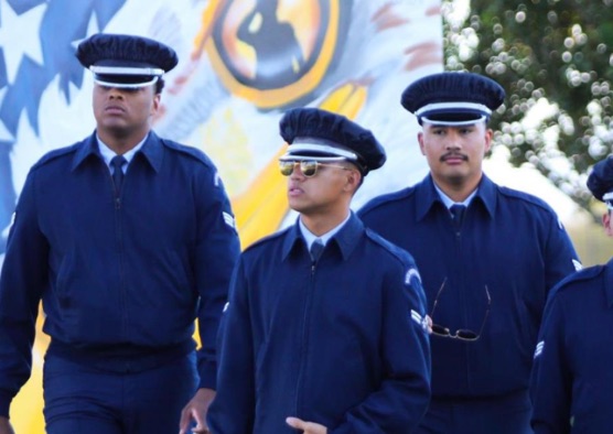 Veterans Day Festival