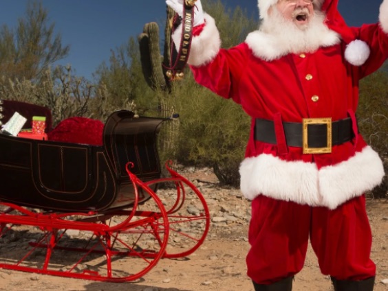 Verrado's Christmas Tree Farm